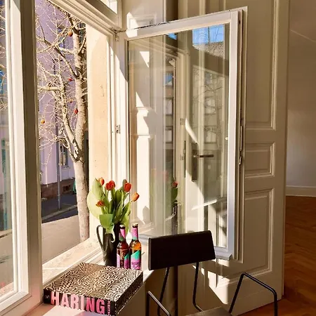 Well Pretty Places - Sustainable Interior Design In The Citycenter Appartement Cassel